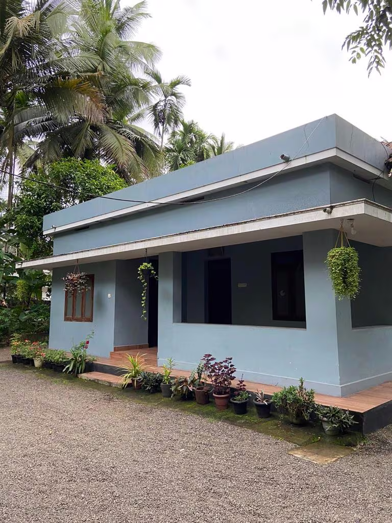 J-ONE NELLIPA 2 image 1